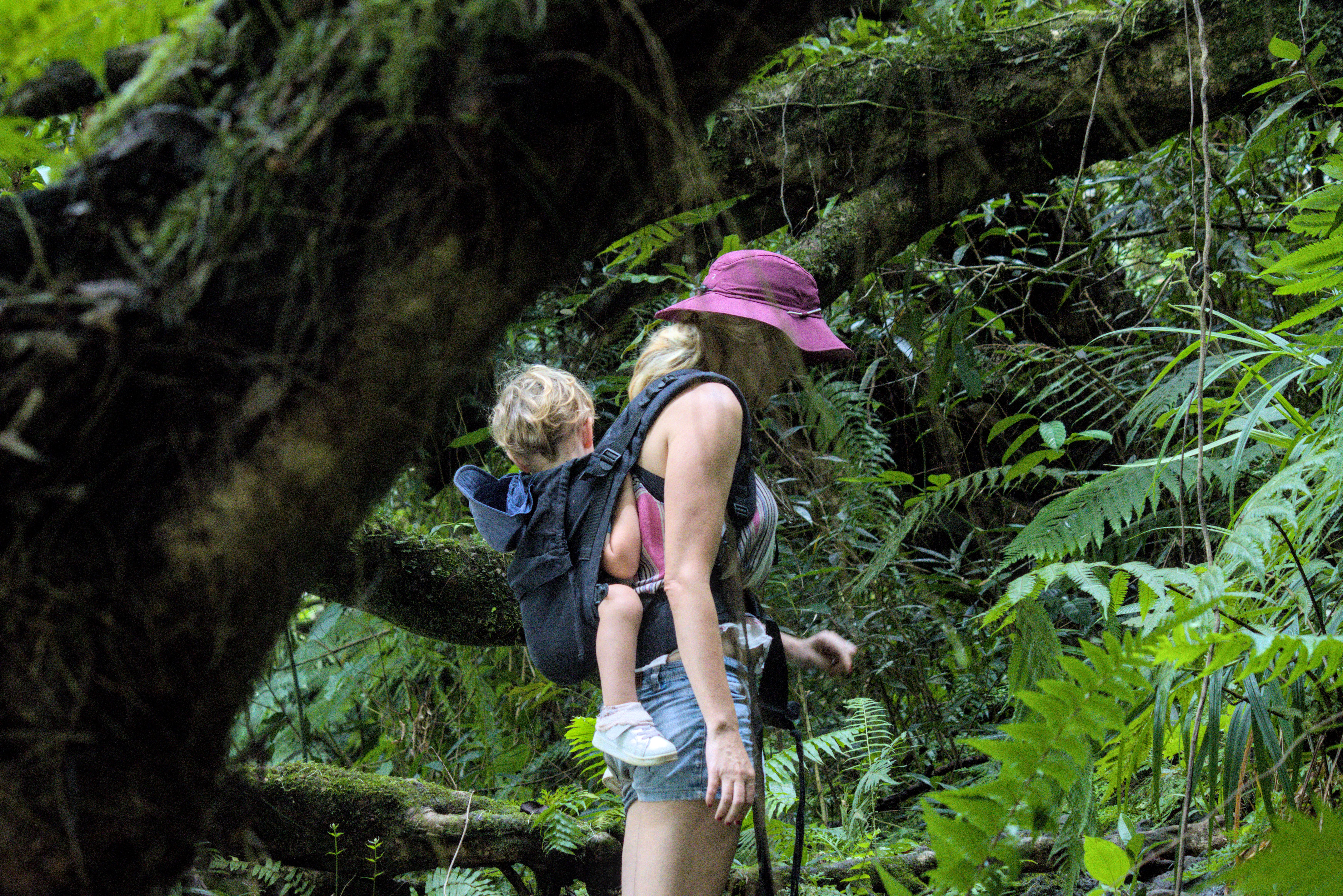 Wandern am Bassin